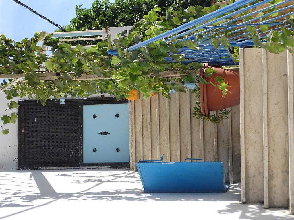 Juha'S Guesthouse - Zarqa Bay Jisr ez Zarqa Exteriör bild