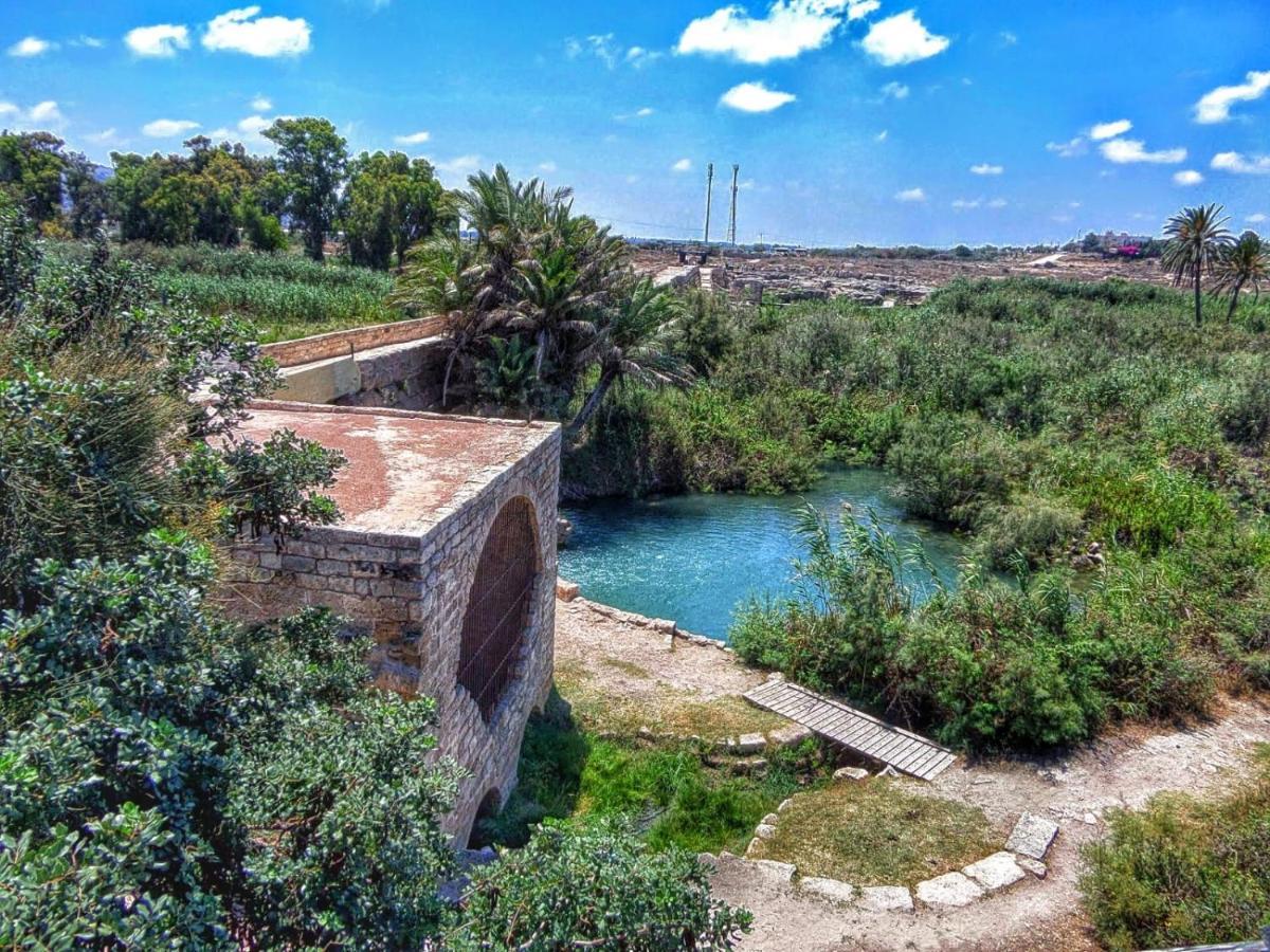 Juha'S Guesthouse - Zarqa Bay Jisr ez Zarqa Exteriör bild